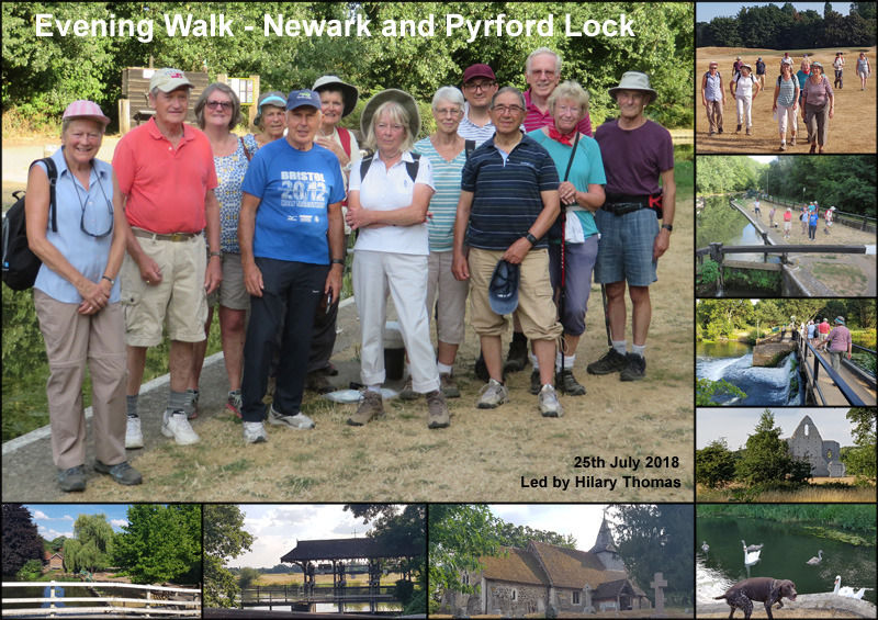 Evening Walk - Newark Bridges to Pyrford Lock - 25th July 2018